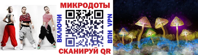 Псилоцибиновые грибы Psilocybe  darknet наркотические препараты  Алзамай 
